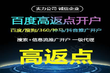 百度竞价广告的成功之路：企业运营案例集